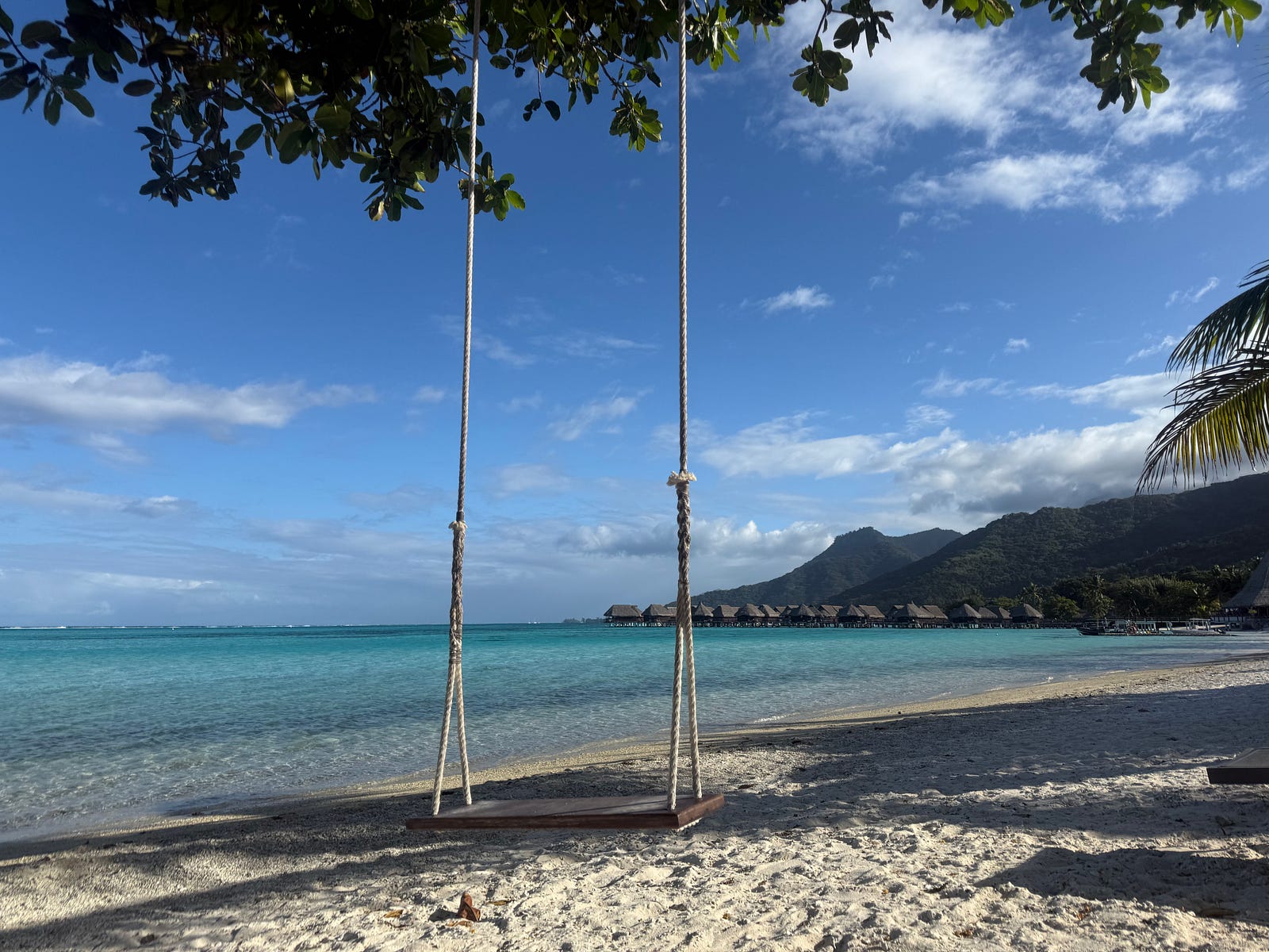 Rope swing on a beach in Moorea, French Polynesia, with overwater bungalows in the distance, by Aimee Xu